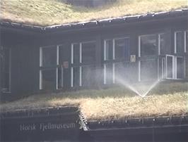 The Norsk Fjellmuseum in Lom actually has a living grass roof that needs sprinkling